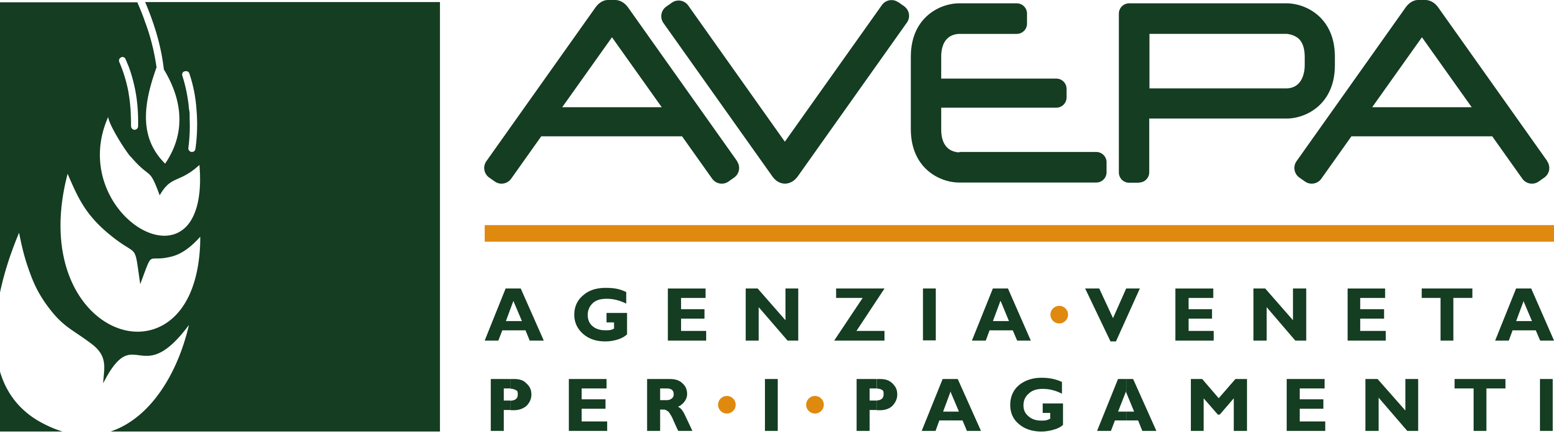 AVEPA - Agenzia Veneta per i pagamenti